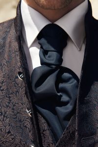 plastron